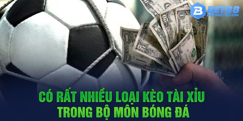 Có rất nhiều loại kèo tài xỉu trong bộ môn bóng đá