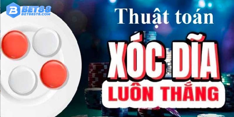 Bí kíp chơi xóc đĩa hiệu quả