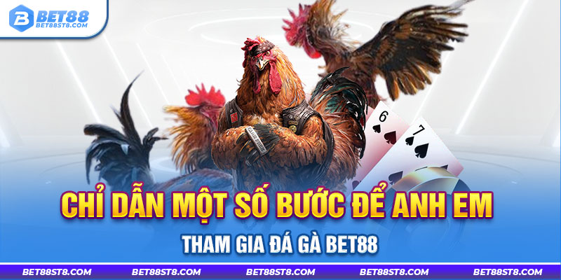 Chỉ dẫn một số bước để anh em tham gia đá gà Bet88